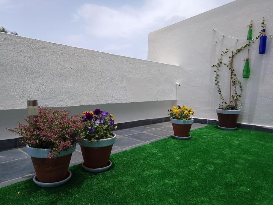 Apartamento Humboldt ,Island Paradise La Orotava Ngoại thất bức ảnh