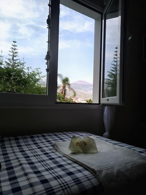 Apartamento Humboldt ,Island Paradise La Orotava Ngoại thất bức ảnh